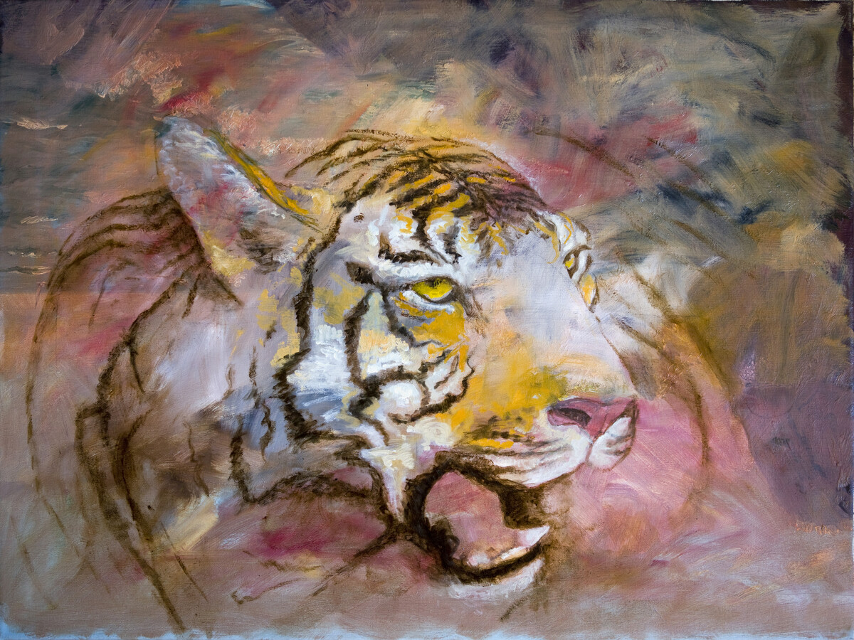 Afbeelding bij De tijger